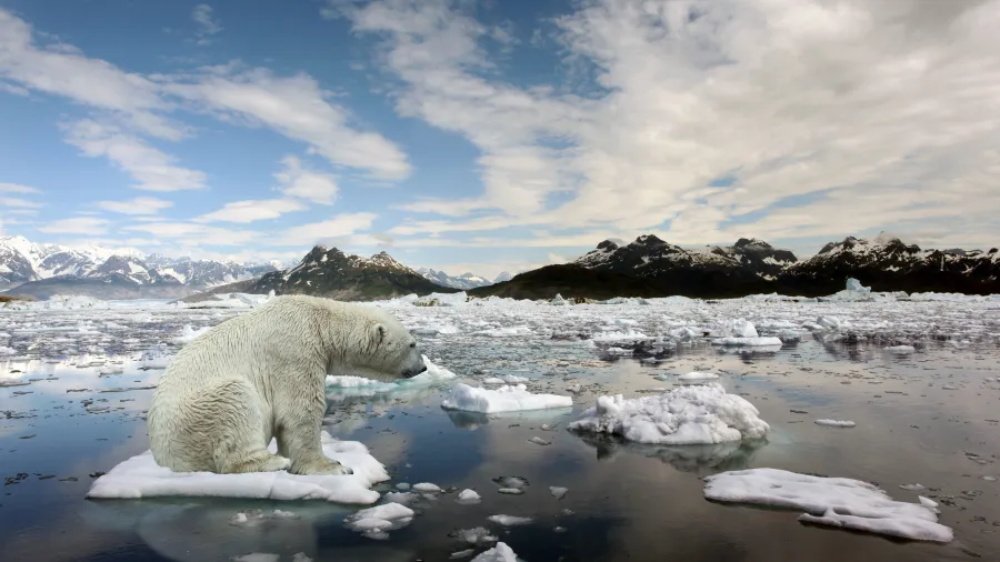 Wildlife Impact: Climate change is altering ecosystems and causing shifts in species distributions. As temperatures rise and precipitation patterns change, many species are unable to adapt quickly enough, leading to habitat loss and fragmentation. This can disrupt migration patterns, breeding cycles, and food availability, putting wildlife populations at risk.